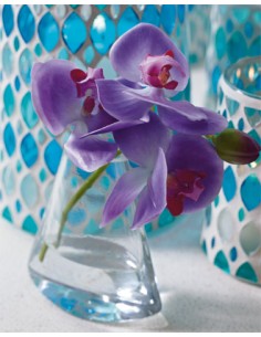 Aguas Mágicas con Orquídeas