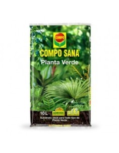 Planta Verde