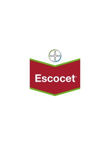 Escocet