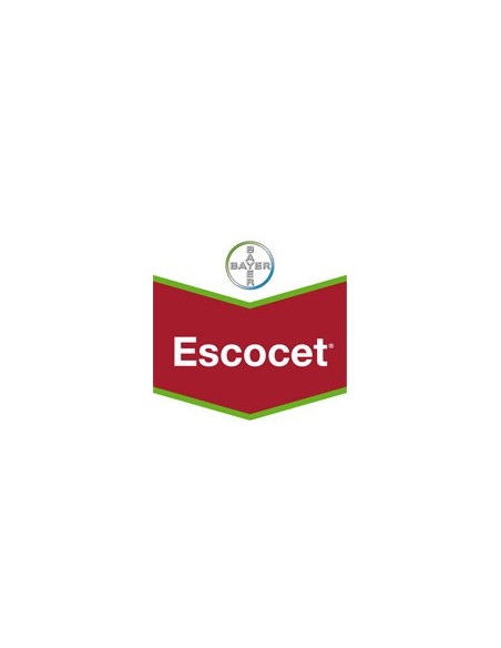 Escocet