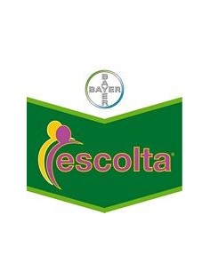 Escolta