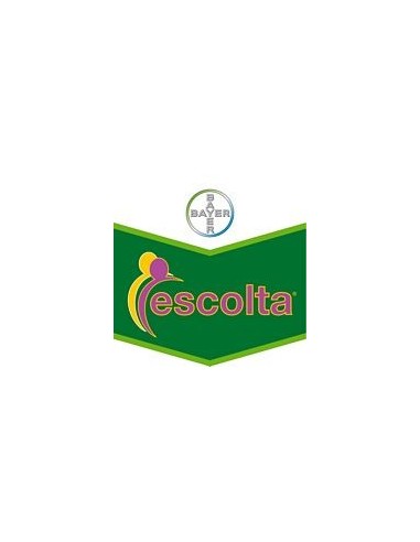 Escolta