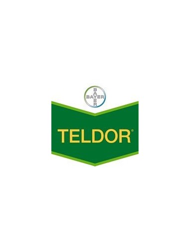 Teldor