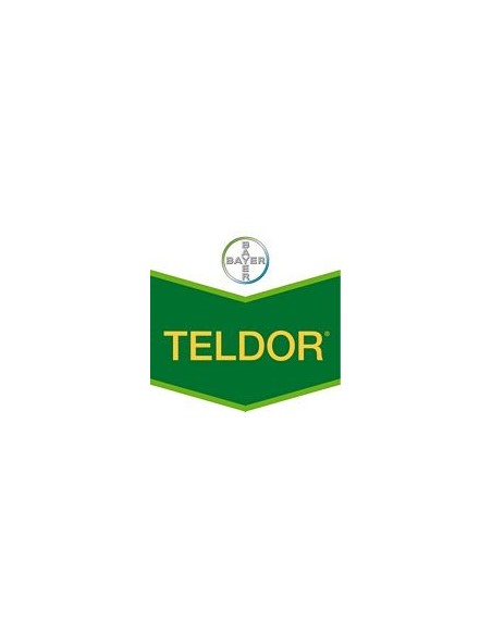 Teldor